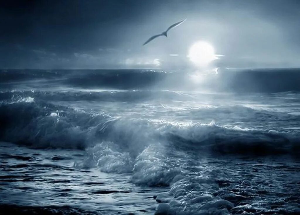 Душа ocean