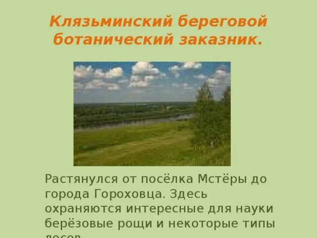 Заповедник во владимирской области. Клязьминский береговой заказник. Клязьминский заповедник Владимирской области. Заказник Муромский Владимирской области растения. Заповедники Ивановской области.