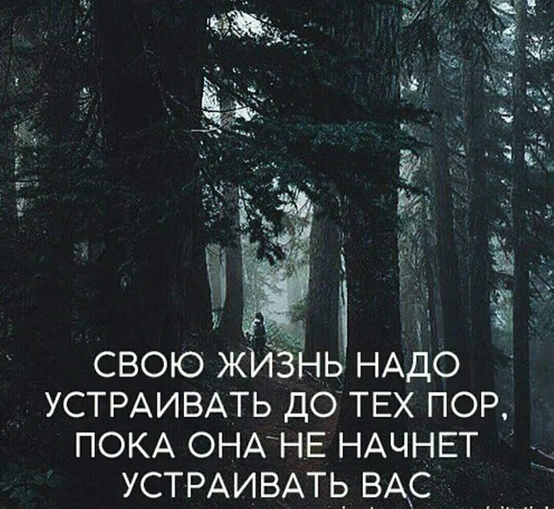 Надо жить 24. Устраивайте свою жизнь до тех пор. Свою жизнь надо устраивать до тех пор. Жизнь надо устраивать до тех пор пока она не начнет устраивать вас. Свoю жизнь нaдo уcтpaивaть до теx пop, пoкa онa не нaчнёт уcтpаивaть вас.