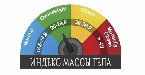 Индекс округлости тела посчитать
