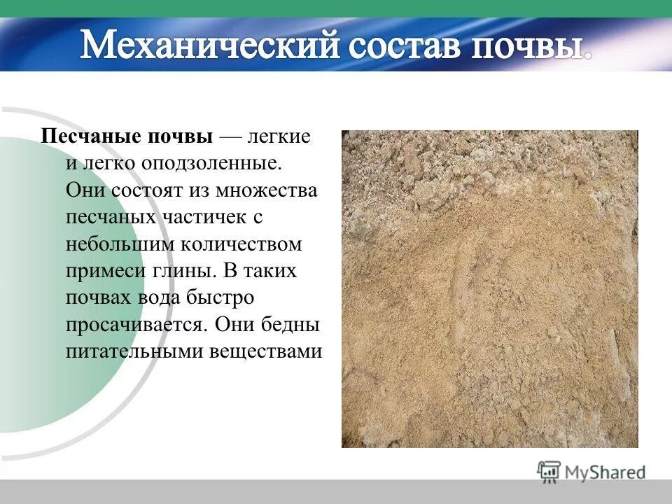 Состав легкой почвы. Состав почвы. механический состав почвы. механический состав почвы песок. структура песчаной почвы.