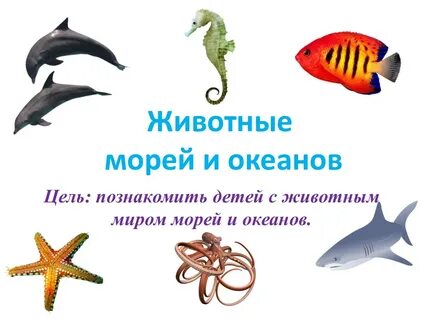 Тема обитатели морей и океанов
