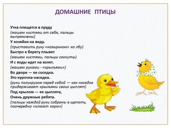 Пальчиковая гимнастика про утят для детей 3-4. Речь с движением домашние птицы. Пальчиковая гимнастика домашние птицы. Пальчиковая домашние птицы. Пальчиковая гимнастика утята.