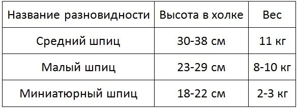 Картинки ЩЕНКУ 11 МЕСЯЦЕВ