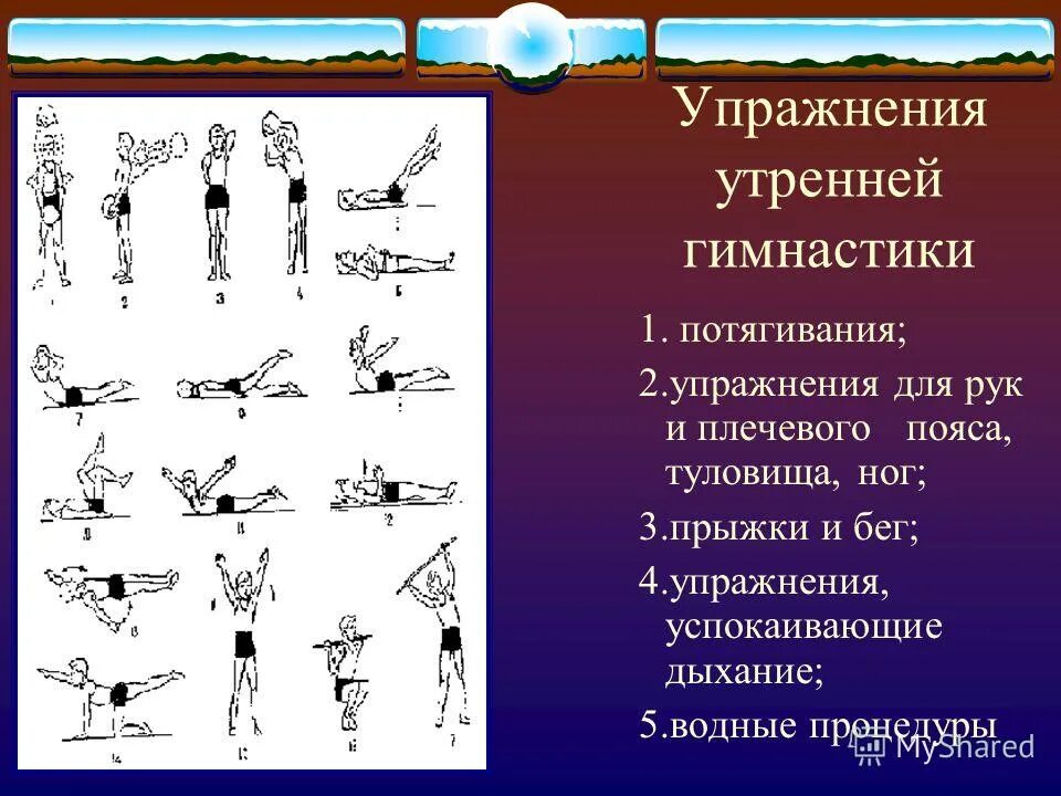 Гимнастическое упражнение 3. Физические упражнения с описанием. Основные упражнения в гимнастике. Название утренних упражнений. Упражнения для физкультуры.