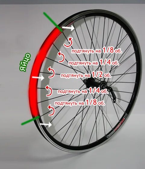 Как выровнять колесо на велосипеде. Как исправить восьмерку на колесе велосипеда. Как выровнять восьмерку на колесе велосипеда. Исправление восьмерки на велосипеде. Исправление восьмерки на колесе велосипеда.