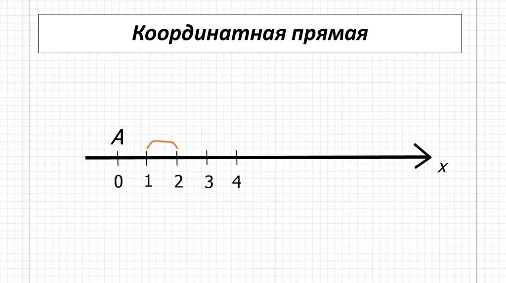 Прямая 5