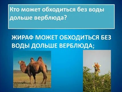 Будет он обходиться без