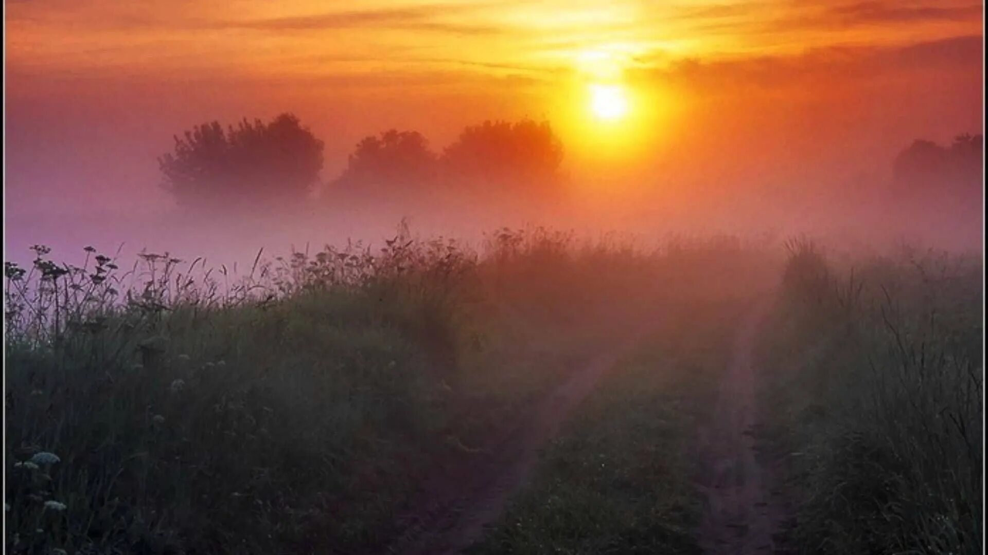 Заря прощается с землею Фет. Утренний рассвет. Туманное утро. Ранний рассвет. Прохладный вечер опускается на землю