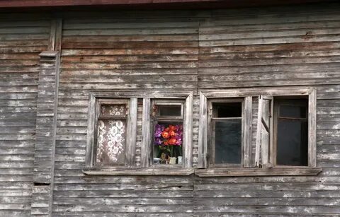 Погода в крестцах новгородской на 10