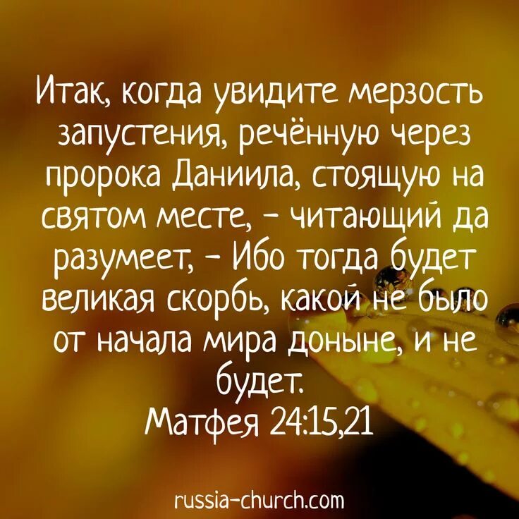Мерзость запустения это. Мерзость запустения это