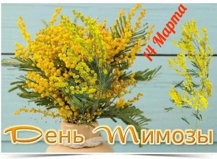Подарю мимозу маме
