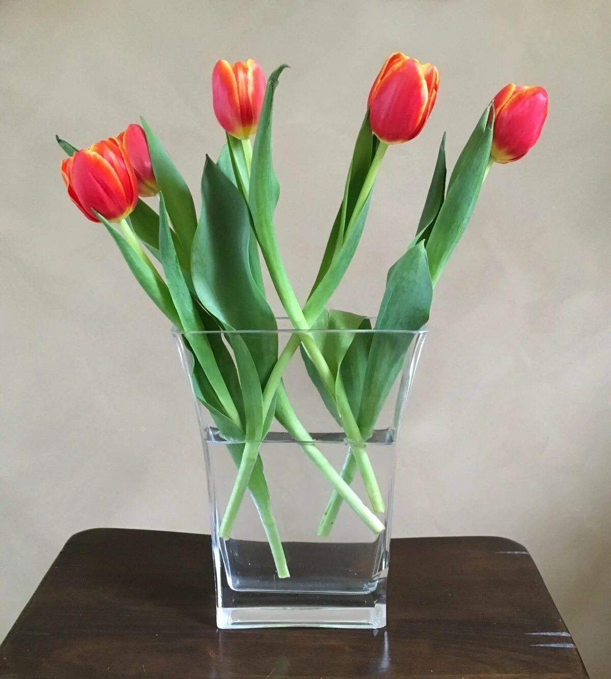 Сколько стоят тюльпаны в вазе дома