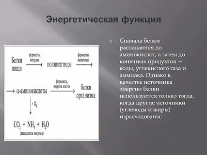 Энергетические белки какие