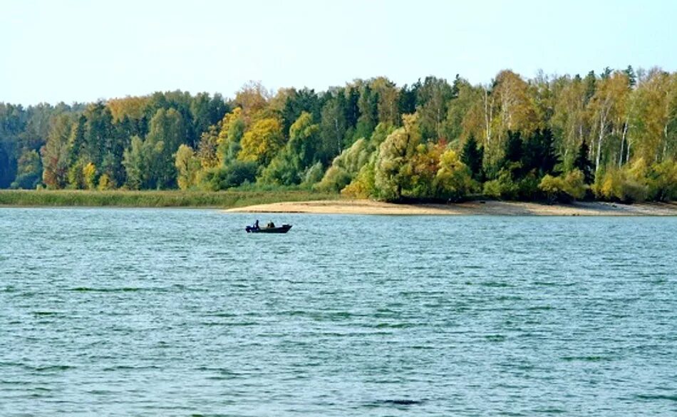 истра река водохранилище. руза московская область водохранилище. участки водохранилище. вазуза озеро. вазузское водохранилище гагаринский район.