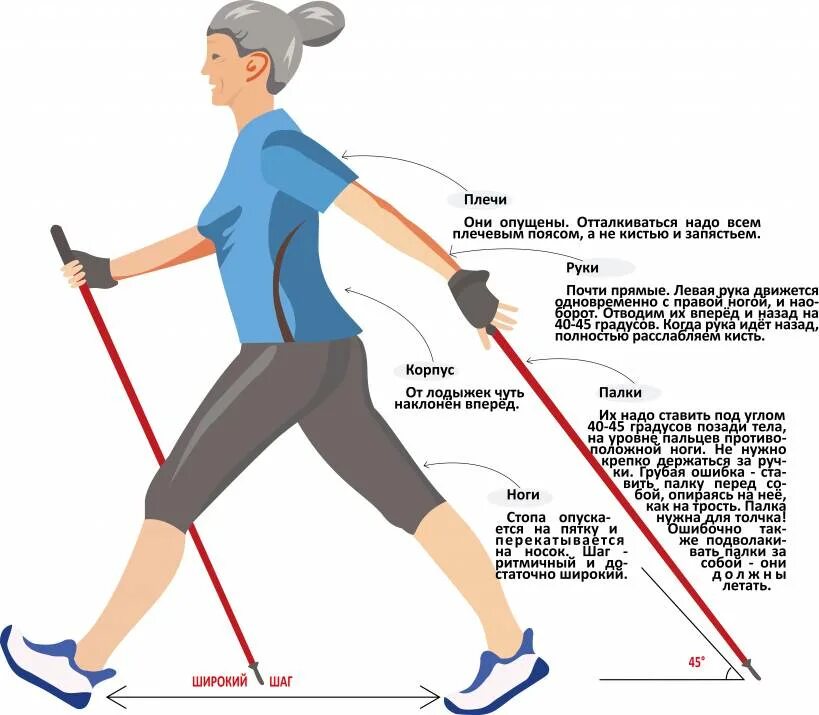 Методика скандинавской ходьбы с палками для начинающих. Скандинавская ходьба с палками для начинающих. Ходьба со скандинавскими палками методика. Техника скандинавской ходьбы для начинающих с палками.