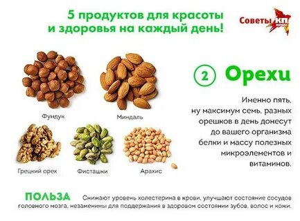Какие орехи полезней есть