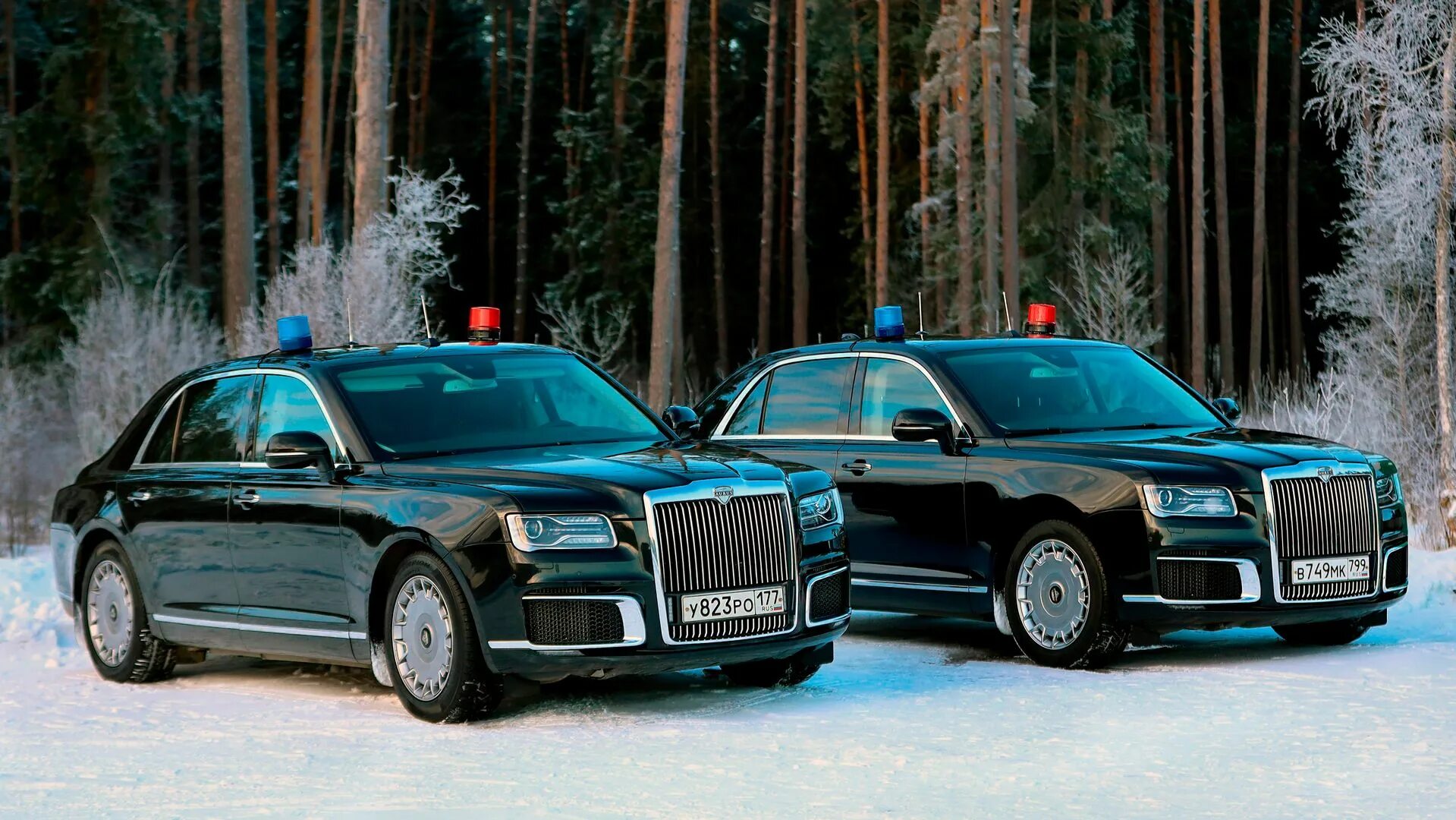 Седан Aurus Senat. Senat s600. Аурус s600. Аурус Сенат седан s600.