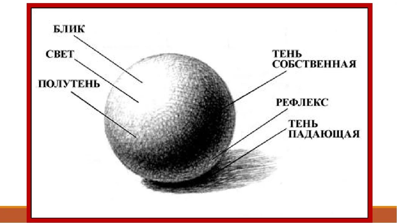 Свет тень на шаре. Шар тень полутень блик рефлекс. Свет тень полутень рефлекс блик в рисунке. Тени светотени полутени. Схема свет тень полутень рефлекс.