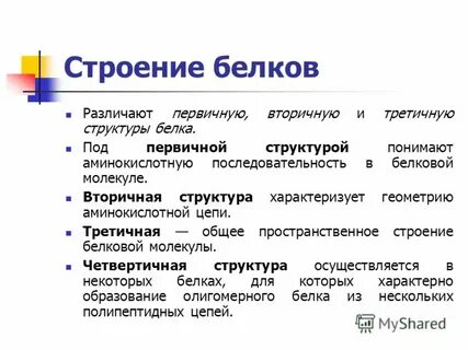 Белки кратко