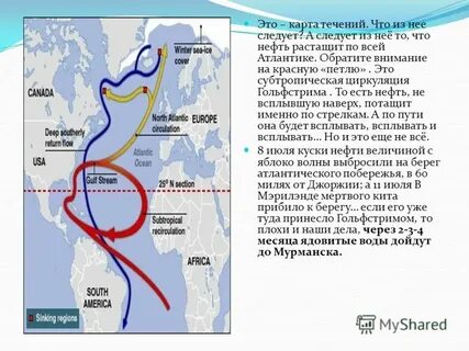 Течение ломоносова