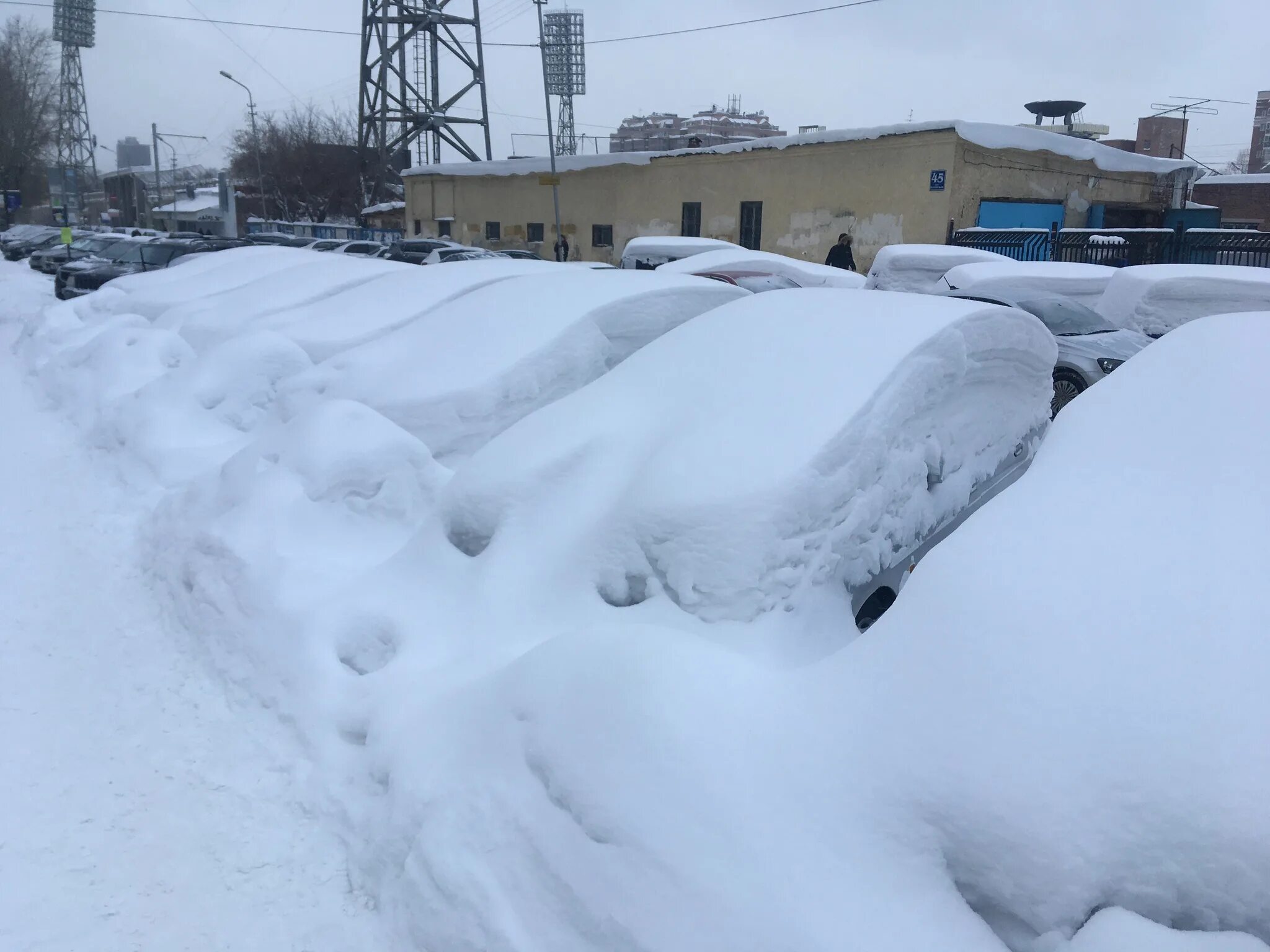 Сколько снега в городе