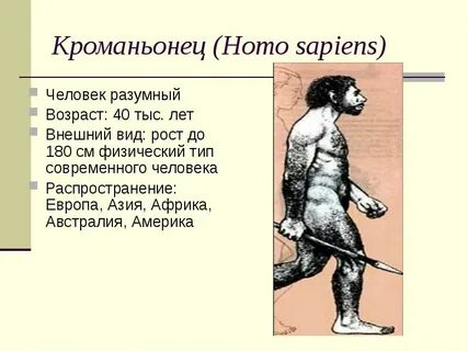 Современный человек особенности строения и образ жизни