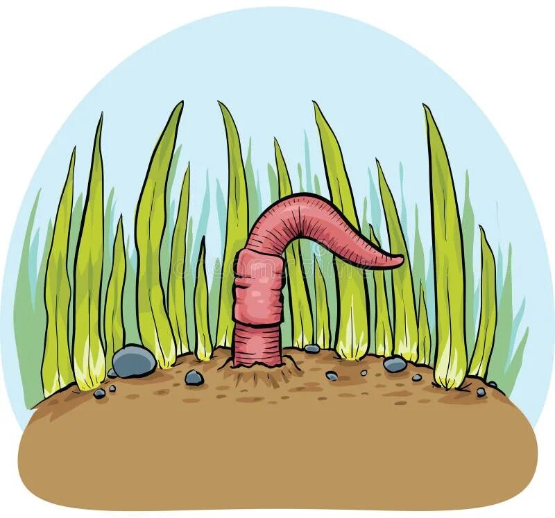 Червяк проползает мимо травинки за две минуты. Червяк мультяшный. Иллюстрация дождевой червяк.