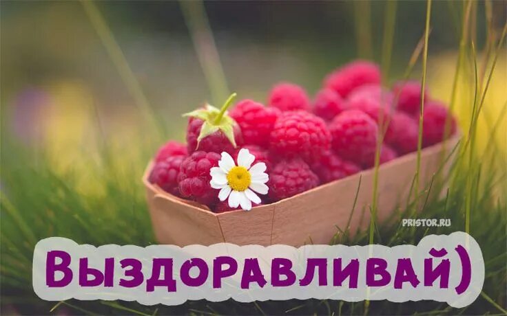 Выздоравливай картинки. Выздоравливай!. Цветы для выздоровления. Поправляйся скорее.