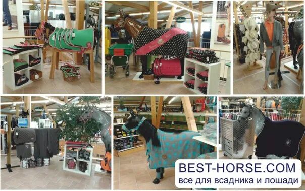 Магазин для лошадей. Конь в магазине. Horse магазин. Horse магазин. Лошадка shop.
