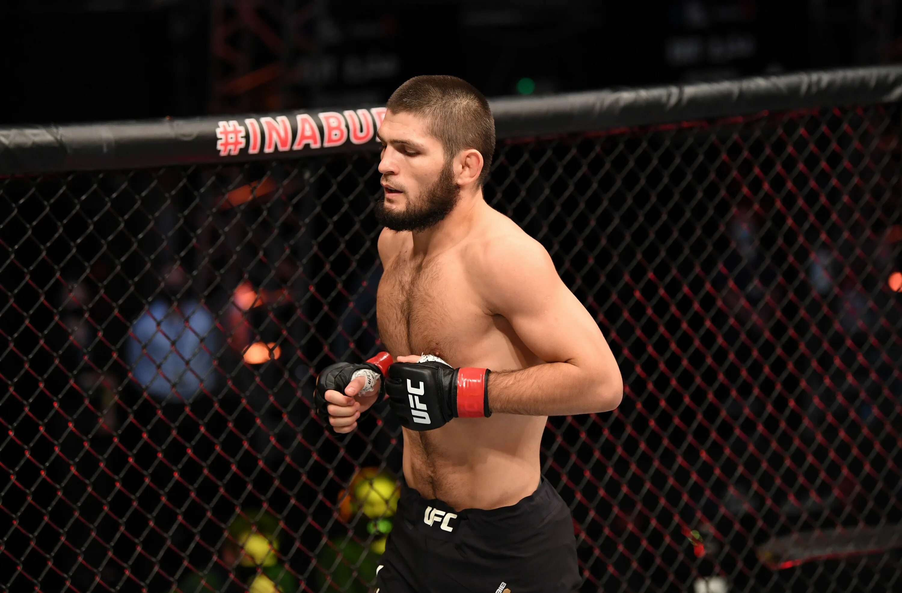 Железнякова юфс. Khabib Nurmagomedov UFC.