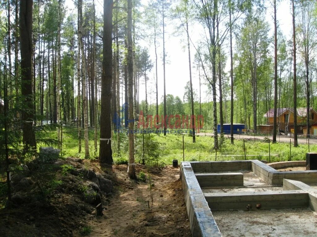 рябово красная долина. поселок красная долина ленинградская область. красная долина выборгский р. красная долина выборгский р. красная долина выборгский р.