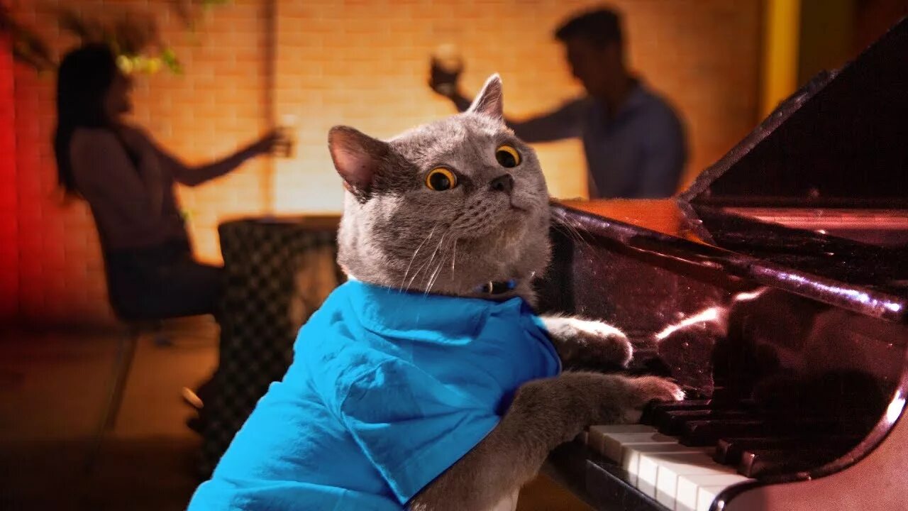 Mike cat