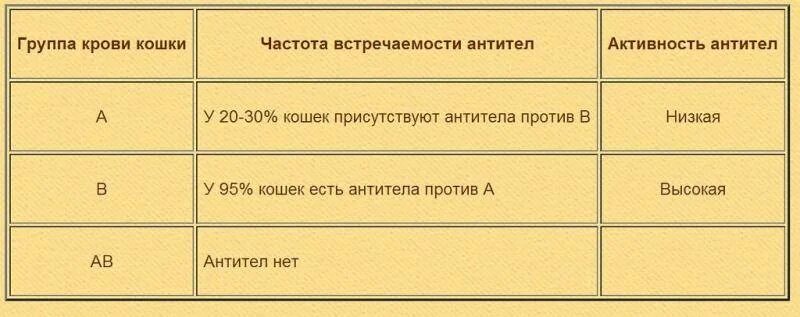 Группа крови у собак. Группы крови у кошек. Группы крови кошек совместимость. У кошек есть группа крови. Группа крови у кошек таблица.