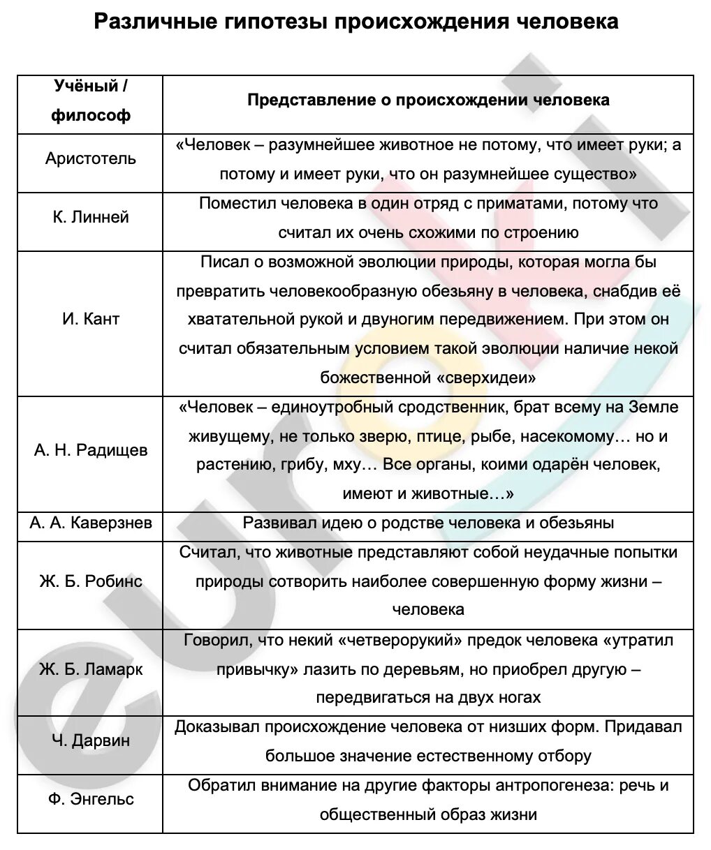 Оценка различных гипотез происхождения жизни. Гипотезы происхождения человека. Гипотезы происхождения человека таблица биология. Анализ и оценка различных гипотез происхождения человека. Оценки различных гипотез происхождения человека.