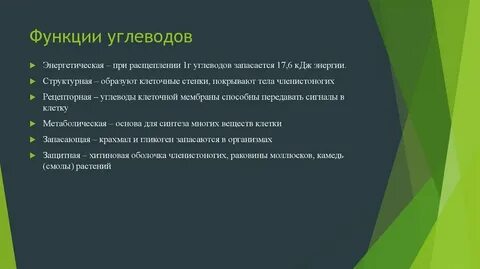 Функции углеводов кратко биология