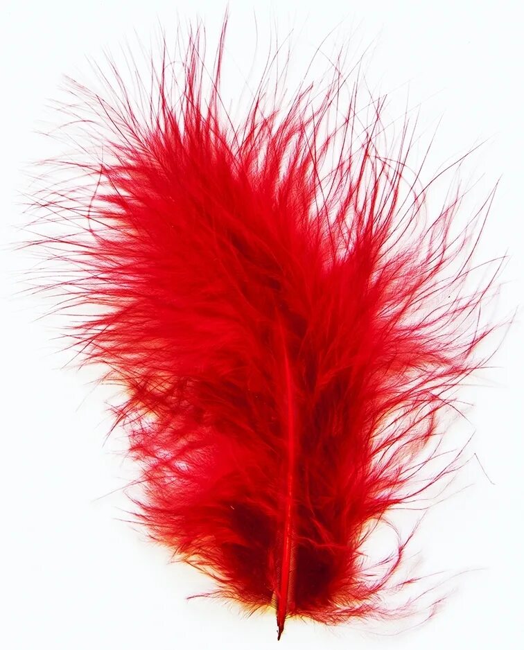 Красное перо