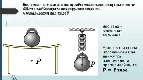 Сила веса тела. Физика 7 класс сила вес тела. Вес примеры. Вес примеры. Масса пример.