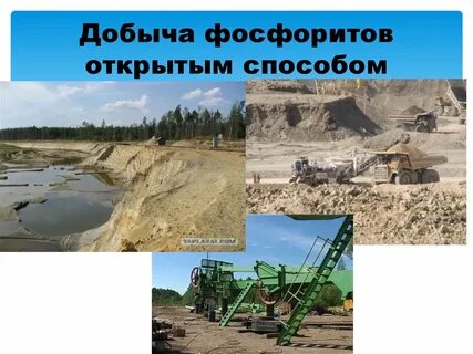 Месторождение фосфоритов