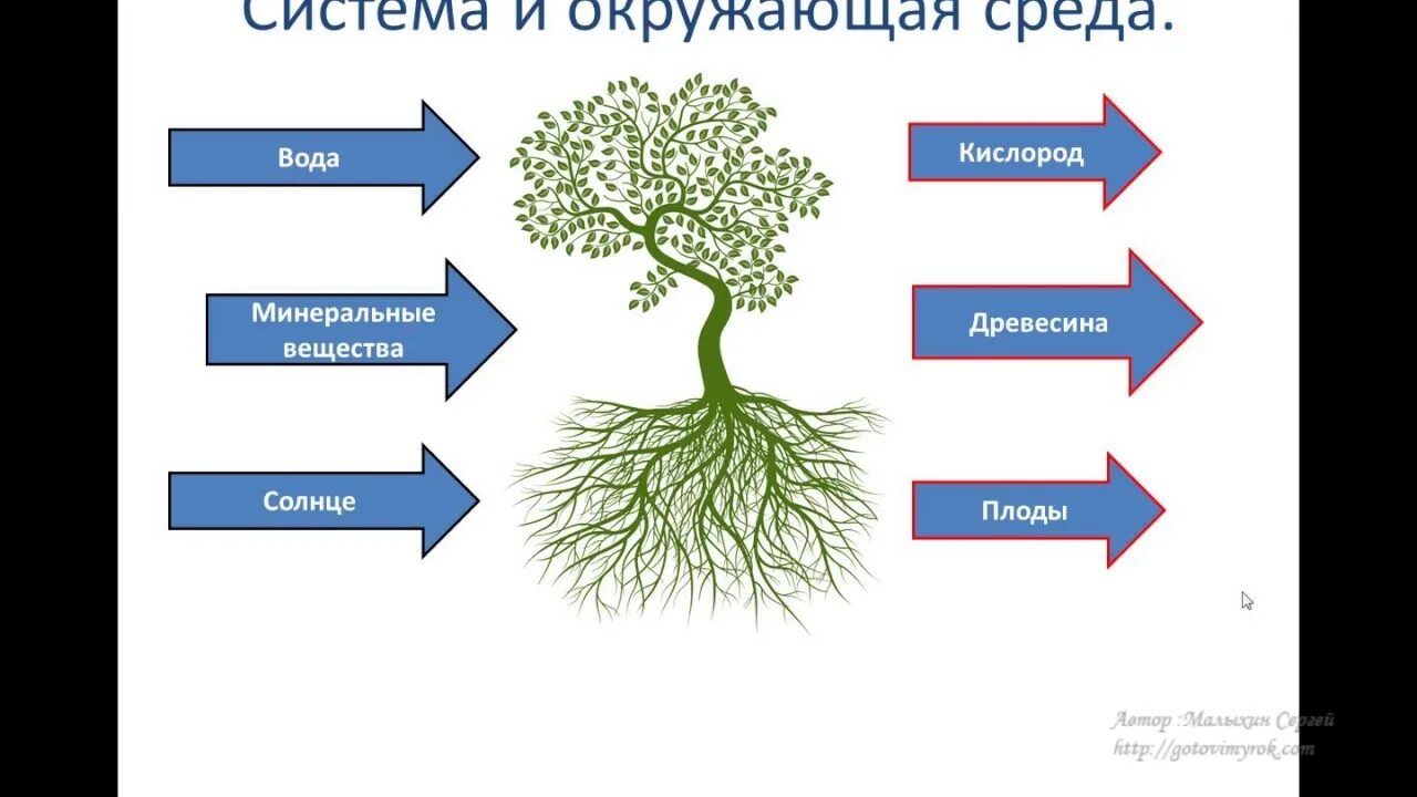 Дерево 5 класс информатика. Система и окружающая среда. Дерево Информатика. Система черный ящик Информатика 6 класс. Система и окружающая среда Информатика 6 класс.