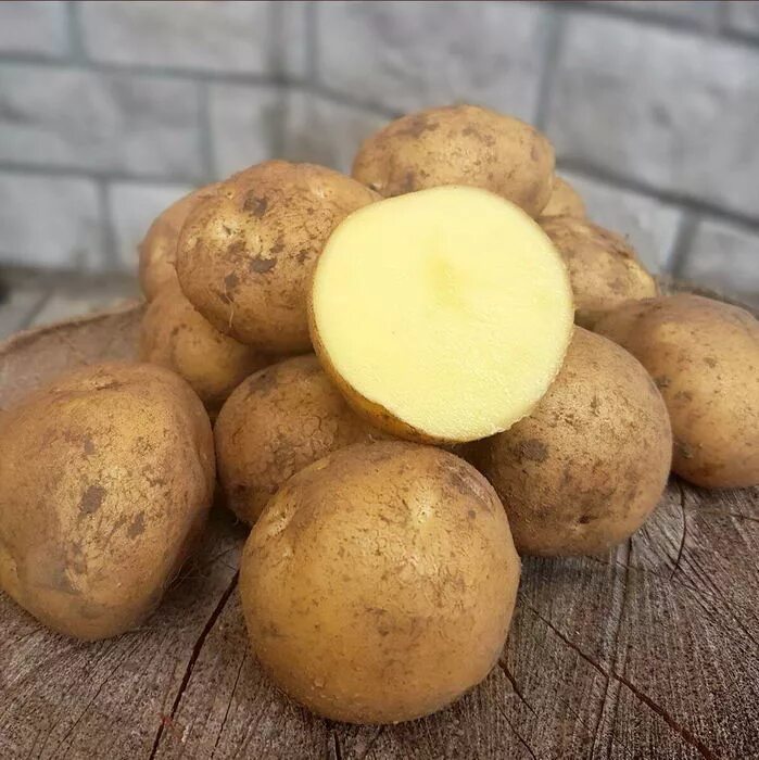 Какой сорт картофеля рассыпчатый. Сорт картофеля Каратоп. Картофель семенной Коломбо (супер элита) 2кг.. Сорт картофеля Метеор. Картофель Метеор суперэлита.