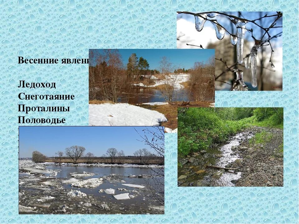 Периоды весны. Весенние явления природы. Весенние явления природы для детей. Весений явления в природе. Явленияприродфы веснй.