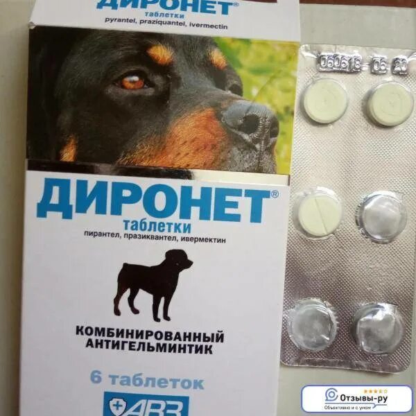 Диронет для собак таблетки. АВЗ диронет 200 таблетки. Противоглистные препараты для собак диронет. Диронет таблетки от гельминтов для собак. Собаке от глистов как часто