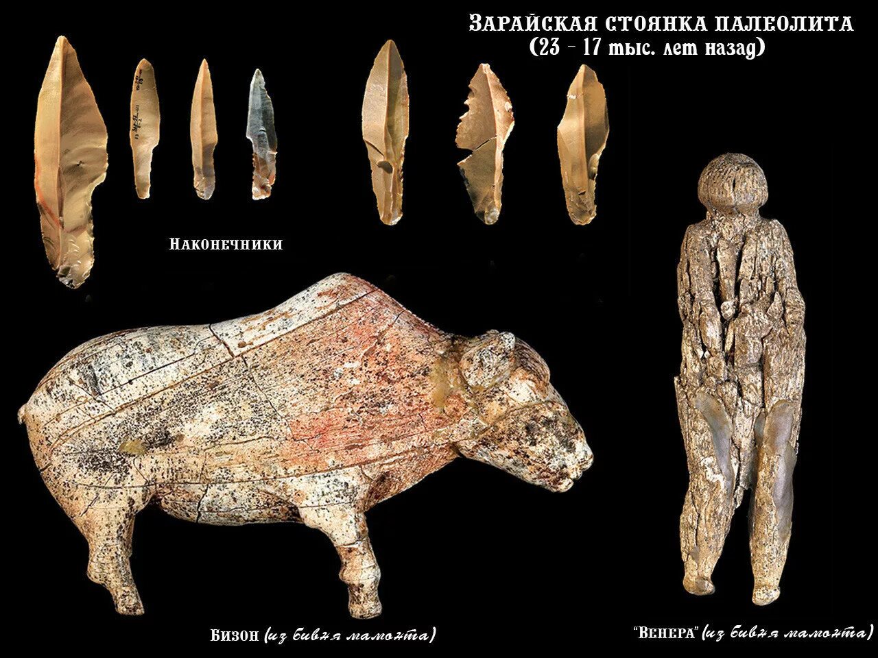 Зарайская стоянка археологические находки. Зарайская стоянка эпохи палеолита. Зарайск Бизон палеолит. Костёнки, Зарайская стоянка.