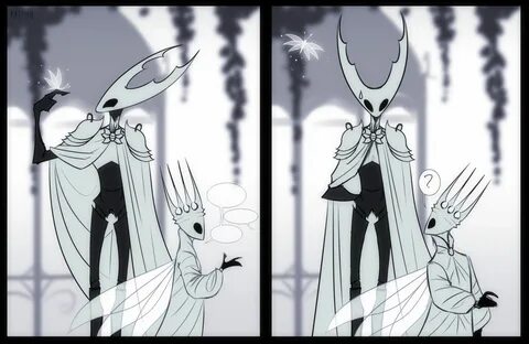 Hollow knight installer
