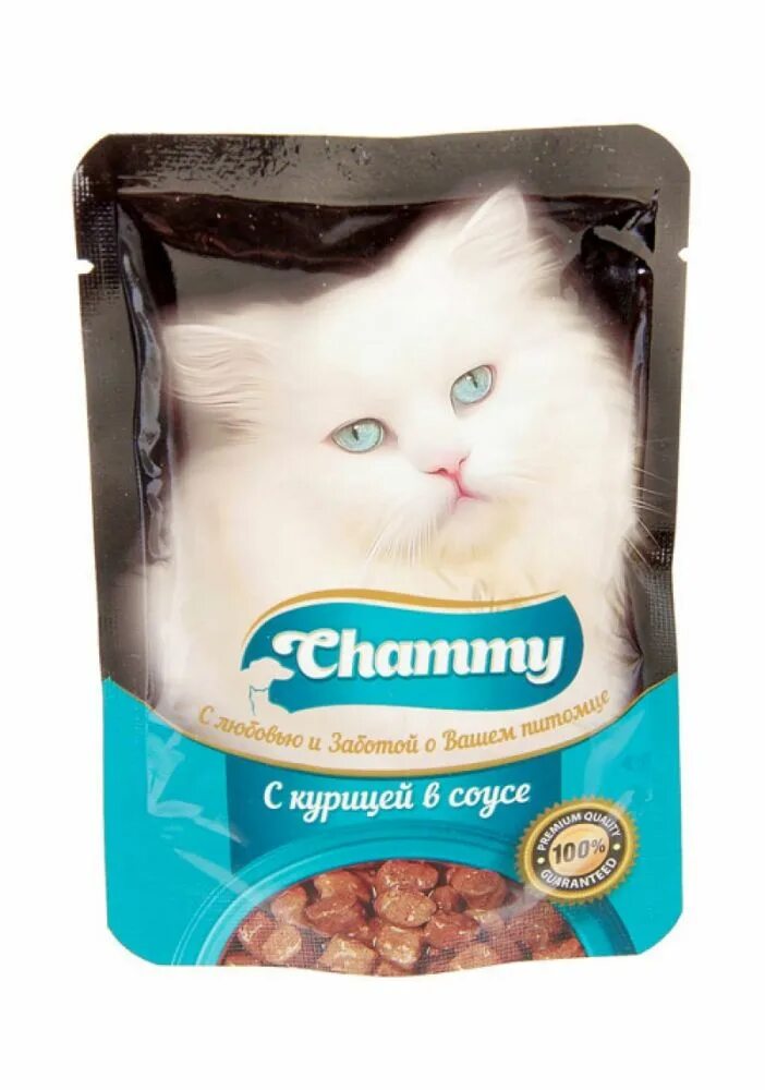 Корм для кошки курица в соусе. Корм "Chammy" 85гр курица/соус (корм для кошек). Chammy корм для кошек 100г. Корм для кошек Chammy с говядиной. Корм для кошек Chammy 85 гр.