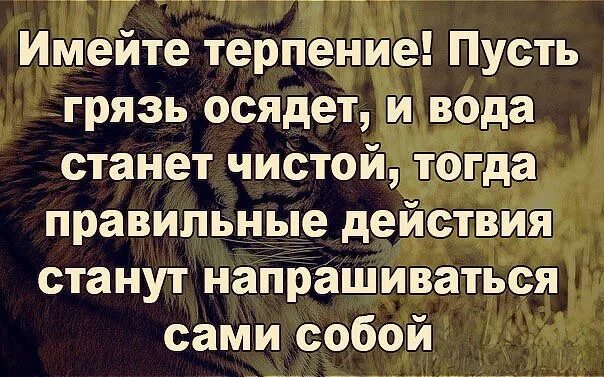 Обладает терпением. Имеющий терпение имеет всех. Имейте терпение пусть грязь осядет. Живи сказала мне жизнь люби нежно обняла любовь. Имеющий терпение имеет всех картинка.