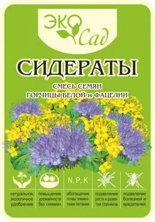 Фацелия или горчица как сидерат