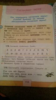 Сук сук нес барсук