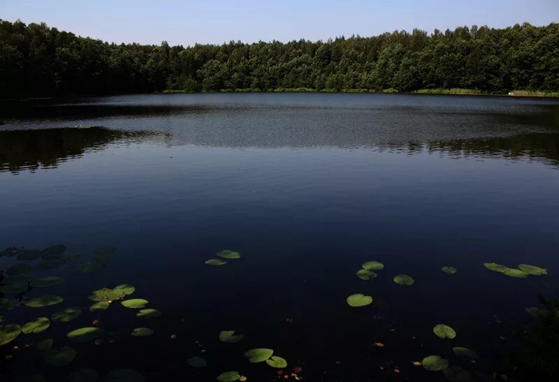 Вода в мещерских озерах